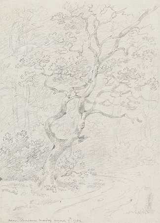 洛桑附近的树木`Trees, Near Lausanne (1782) by George Howland Beaumont