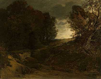 有小溪的森林景观`Forest landscape with a creek by Ludwig Willroider