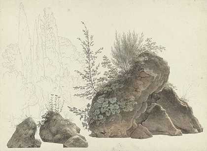 杂草丛生的岩石`Overgrown Rocks (c. 1809 ~ c. 1812) by Josephus Augustus Knip
