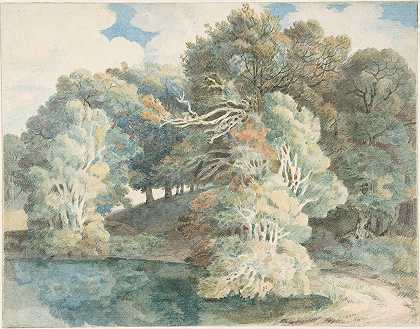 树`Trees by the Lake, Peamore Park, near Exeter, Devon (1790–1810) by the Lake, Peamore Park, near Exeter, Devon by Francis Towne