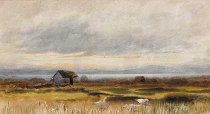 沼泽地`Bog Scene by William Percy French