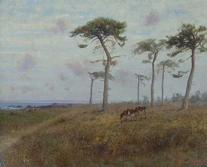 牛在蒙特雷柏树间吃草`Cattle Grazing among Monterey Cypress Trees (1909) by Charles Dorman Robinson