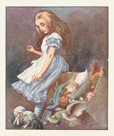 她匆忙地跳了起来，裙子的边缘把陪审团的箱子掀翻了`She jumped up in such a hurry that she tipped over the jury~box with the edge of her skirt (1911) by Sir John Tenniel