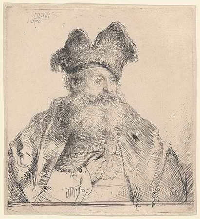 戴着一顶分开的毛皮帽子的老人`Old Man with a Divided Fur Cap (1640) by Rembrandt van Rijn