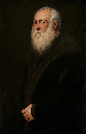 白胡子男人`Man with a White Beard by Jacopo Tintoretto