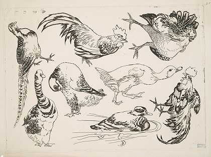 公鸡和鸭子`Coqs et canards (1866) by Félix Bracquemond