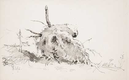 树根`Puun juurakko (1879 ~ 1880) by Helene Schjerfbeck
