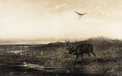 晚上鹿和鹭（晚上stag和鹭）`Le Soir; Cerf et Herons (Evening; Stag and Herons) (1858) by Karl Bodmer