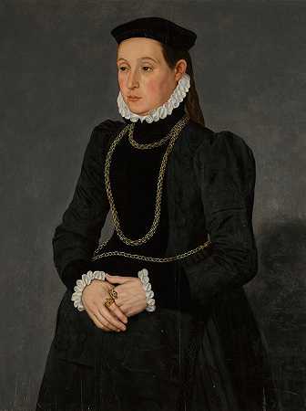 一位女士的肖像，可能是亨德里克·皮尔格拉姆的妻子玛格丽塔·梅莎`Portrait of a lady, possibly Margaretha Mertha, wife of Hendrik Pilgram by Nicolas Neufchâtel