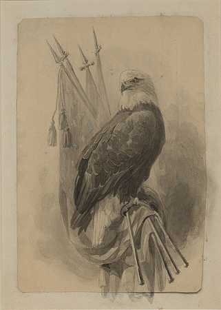 老阿贝，活的威斯康星州战鹰`Old Abe, the Live Wisconsin War Eagle (1875–80) by Marcus Wickliffe Baldwin