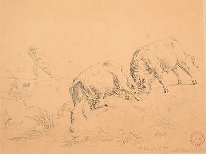 防止斗牛的狗和牧羊人`Chien et berger accourant pour empêcher un combat de taureaux by Jacques-Raymond Brascassat