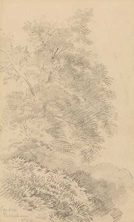对长满草的河岸上的一棵树的研究`Study of a Tree on a Grassy Bank (1866) by George Richmond