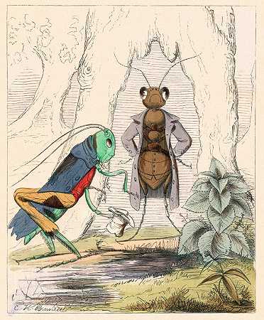 蚂蚁和蚱蜢`The Ant And The Grasshopper (1857) by Charles Henry Bennett