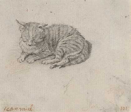 对一只熟睡猫的研究`Study of a Sleeping Cat (mid~17th century) by Jan Miel