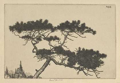 残废松`Crippled Pine (between 1900 and 1925) by Ernest Haskell