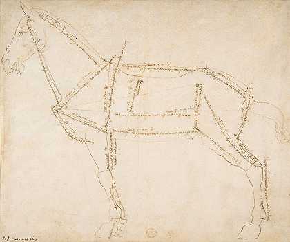 一匹面向左边的马的测量图`Measured Drawing of a Horse Facing Left (ca. 1480–88) by Andrea del Verrocchio