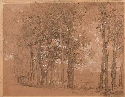 边缘树木和草地`Lisière darbres et pré (1850) by Jacques-Raymond Brascassat