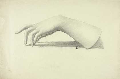 左前臂和手`Left Forearm and Hand by Elizabeth Murray