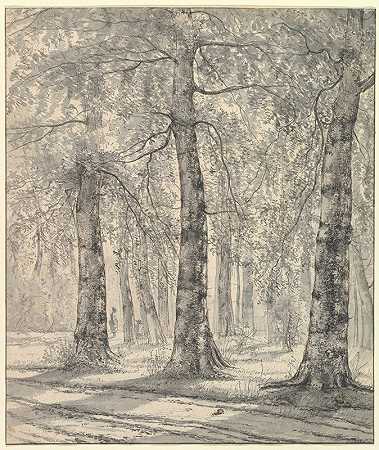林地景观`Woodland Scene (1819) by Pieter George Westenberg