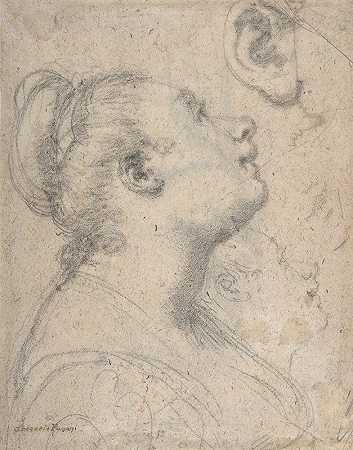 侧面女性的头部和肩部`The Head and Shoulders of a Woman in Profile (1592) by Gregorio Pagani