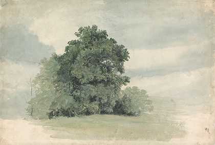 对田野边缘树木的研究`Study of Trees at the Edge of a Field by Cornelius Varley
