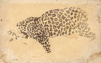 豹子研究`Etude de léopard (19th century) by Antoine-Louis Barye