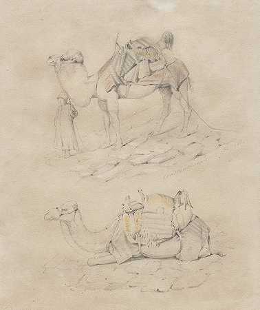 骆驼研究`Study of Camels (1848)
