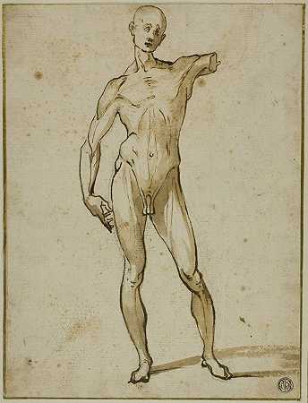 闪光的人`Flayed Man (1600~25) by Circle of Ludovico Cardi