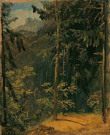 哈兹山脉的森林小径`Waldweg im Harz (1833) by Carl Blechen