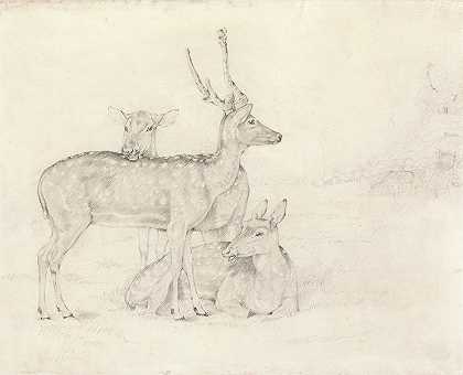 一群鹿在公园里吃草`A Herd of Deer Grazing in a Park by Sir Edwin Henry Landseer