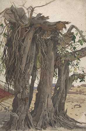 气生根树桩的研究`Study of a Stump with Aerial Roots (19th century) by Woldemar Friedrich