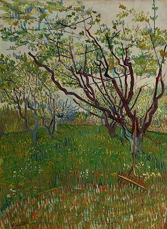 开花果园`The Flowering Orchard (1888) by Vincent van Gogh