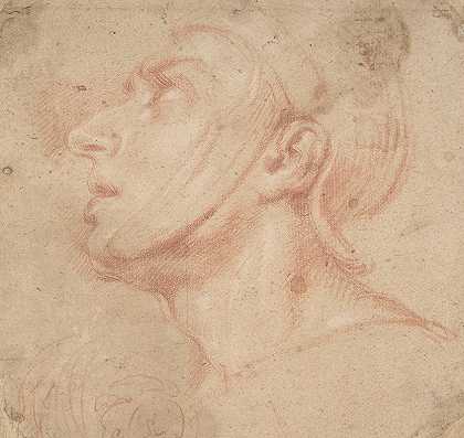 一个戴头盔的男人的头，向左上方看`Head of a Man Wearing a Helmet, Looking to Upper Left (1623–90) by Francesco di Maria