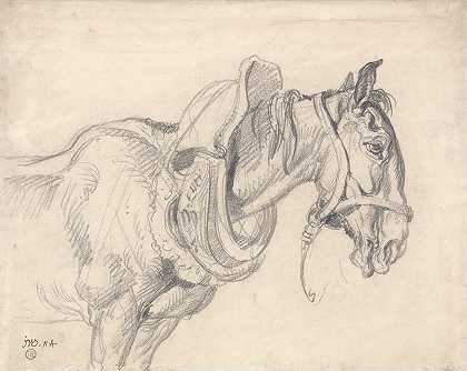 马车的头和肩膀`Head and Shoulders of a Cart Horse by James Ward