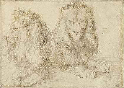 双座狮子`Two seated lion (1521) by Albrecht Dürer