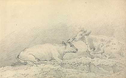 两头奶牛在休息`Two Cows Resting by Thomas Bradshaw