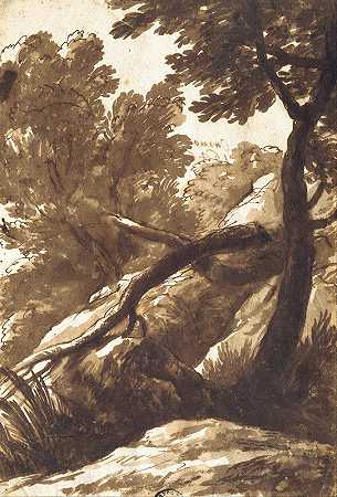 森林景观`Wooded Landscape (1646) by Bartolomeo Torregiani