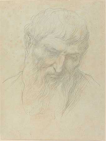 一个留着卷发和胡须的男人的头`Head of a Man with Curly Hair and Beard by Alphonse Legros