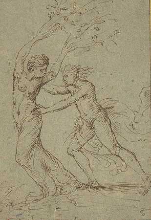 阿波罗和达芙妮`Apollo and Daphne by Follower of Giulio Romano