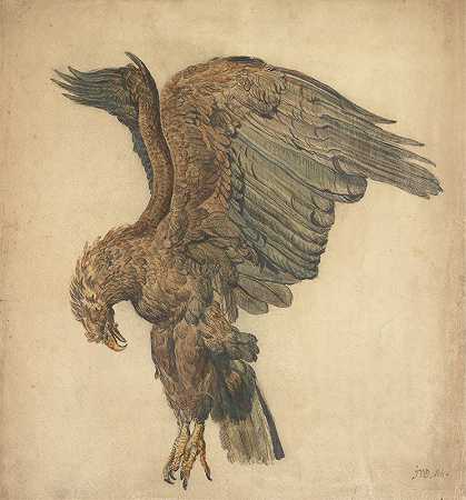 一只俯冲鹰的研究`Study of a Plunging Eagle by James Ward