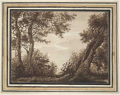 树木研究`Study of Trees (17th century) by Adriaen Hendriksz. Verboom
