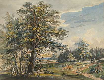 有牡鹿的森林景观`Wooded Landscape with Stag (1800–1877) by Carl August Lebschee