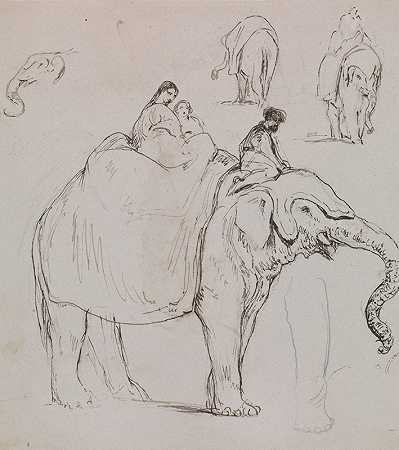 关于大象的数字和其他大象研究`Figures on an Elephant and Other Elephant Studies by George Jones
