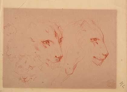 狮子头研究`Études de têtes de lions by Jacques-Raymond Brascassat