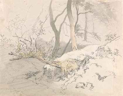林地阴影`Woodland Shadow (after 1801) by Robert Hills
