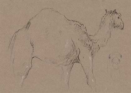 一头向右移动的骆驼骆驼的素描s头，右下角`A Camel Moving to the Right; a Sketch of a Camels Head, Bottom Right (ca. 1850) by George Jones