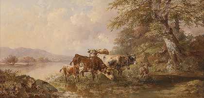 湖岸上的奶牛`Kühe am Seeufer by Edmund Mahlknecht