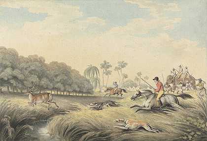 猎杀猪鹿`Hunting a Hog~Deer (1805) by Samuel Howitt