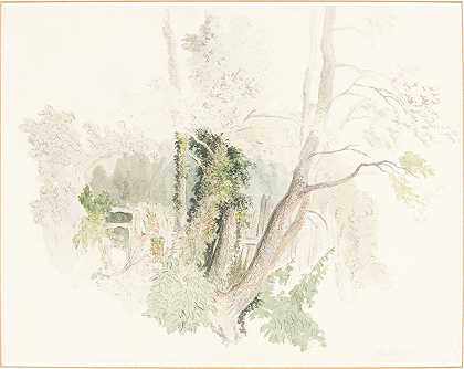 贝丁顿的树木`Trees at Beddington (possibly c. 1805) by Robert Hills