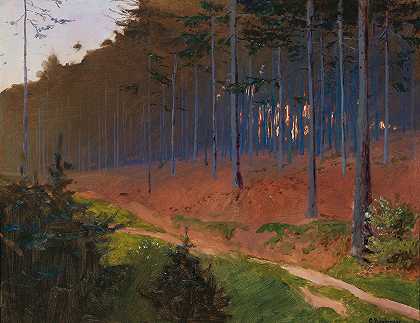 Weinzierl附近的森林小径`Forest Path near Weinzierl by Gustav Bamberger